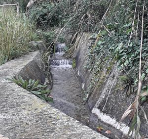  width=
