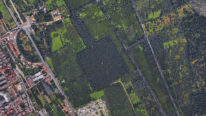  width=