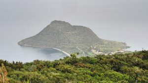 width=