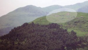  width=