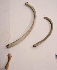  width=