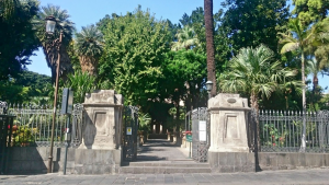  width=
