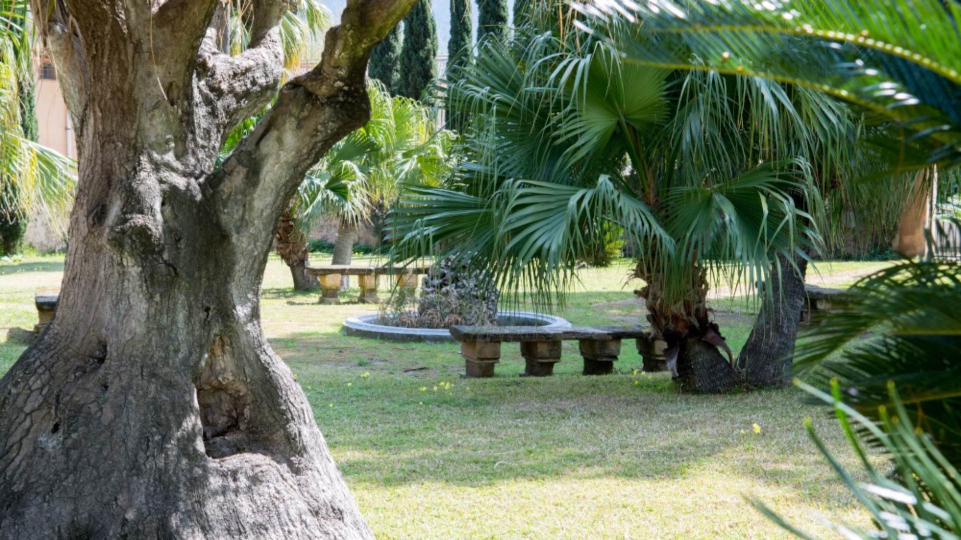 Nasce un nuovo spazio culturale a Villa Riso - Le Vie dei Tesori