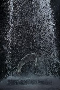  width=