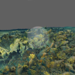 I tesori sommersi di Filicudi si svelano in 3D