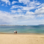 Palermo capitale della biodiversità marina,  due giorni tra ricerca e teatro