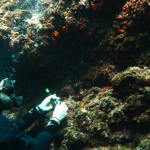 Centinaia di “sentinelle” tecnologiche presidiano i fondali per salvare il Mediterraneo