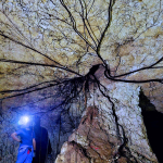 Nel cuore segreto della Favorita: il parco svela il suo labirinto di pietra